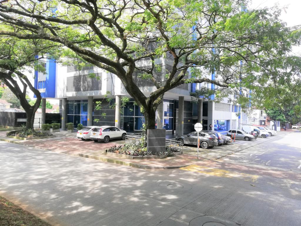 3301_8_84774341